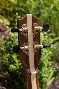 E-UkuleleWalnut-2