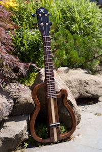 E-UkuleleWalnut-5